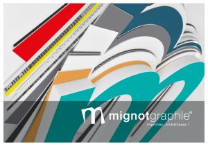 Impressions en srigraphie 5 couleurs - Mignographie