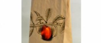 Sacs en papier KRAFT